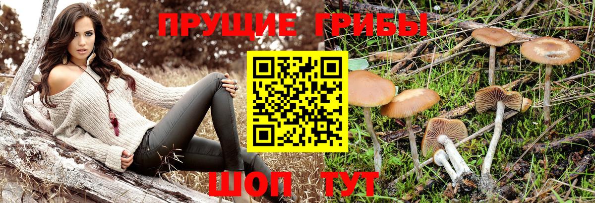 Галлюциногенные грибы Magic Shrooms Белая Калитва